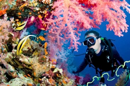 Fethiye Dalış Turu